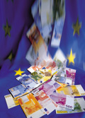 euro wägrungsunion